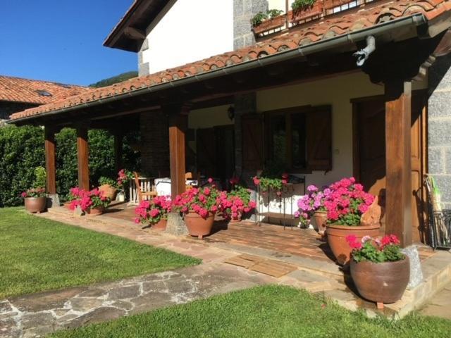 Excepcional Casa El Olivo Villa Ojedo Exterior photo